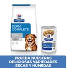 Hill's Prescription Diet Derm Complete pienso para perros, , large image number null